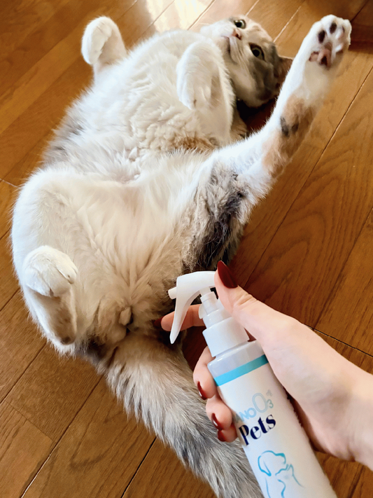 デリケートなお肌の優しいケアに🐈ストレスフリーのお守りスプレー🫧