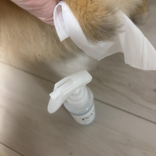 愛犬に🐶ケアスプレー🫧