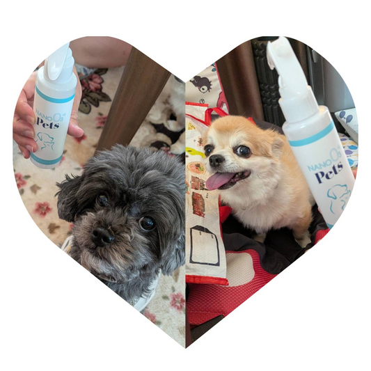 愛犬の肌の調子にこのナノオゾンペッツ