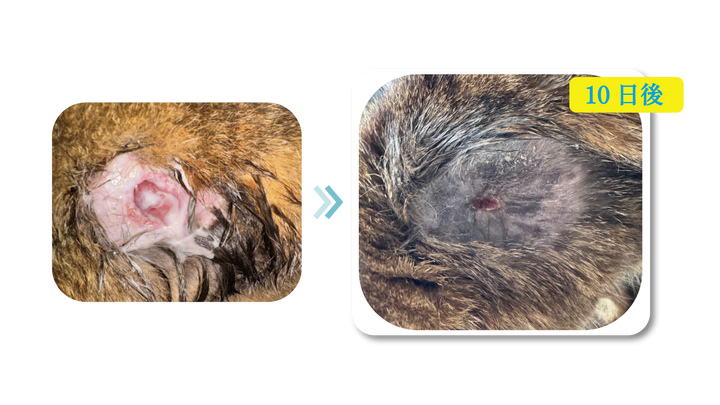野村 弓圭里　先生の写真